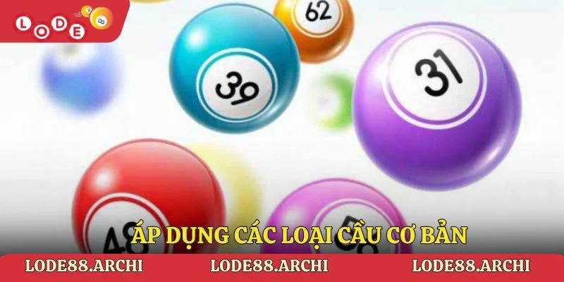 Áp dụng các loại cầu cơ bản