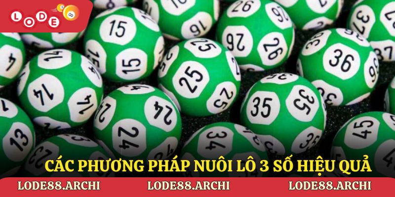 Các phương pháp nuôi lô 3 số hiệu quả tại Lode88