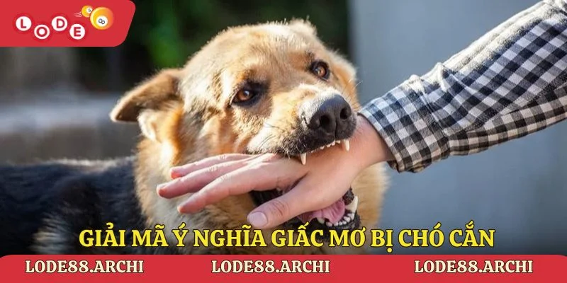 Giải mã ý nghĩa giấc mơ bị chó cắn