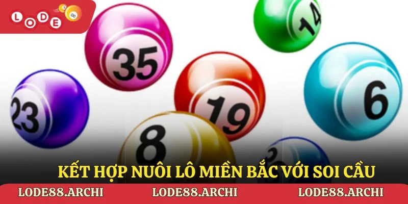 Kết hợp nuôi lô miền Bắc với soi cầu