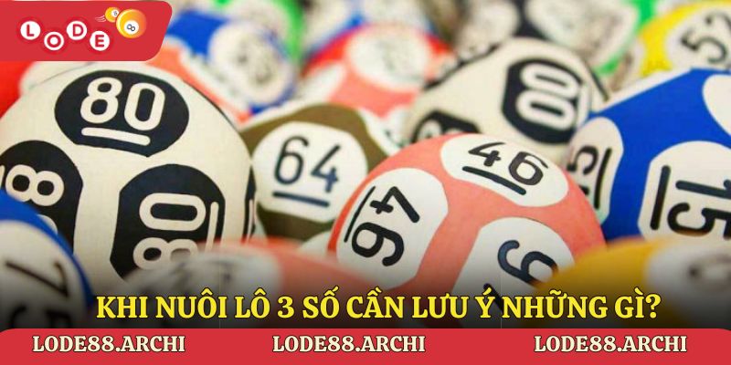 Khi nuôi lô 3 số cần lưu ý những gì?