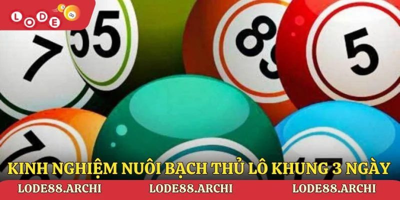 Kinh nghiệm khi nuôi bạch thủ lô khung 3 ngày