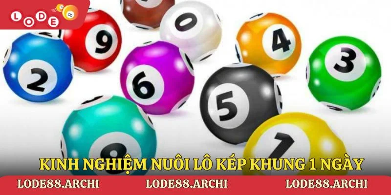 Kinh nghiệm nuôi lô kép khung 1 ngày