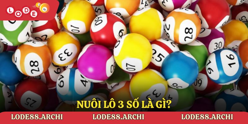 Nuôi lô 3 số là gì?