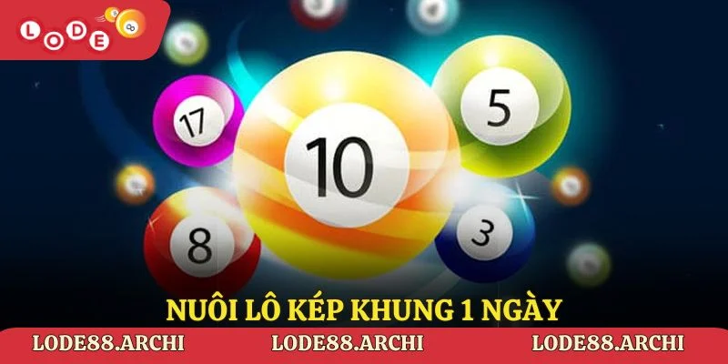 Nuôi Lô Kép Khung 1 Ngày - Chiến Lược Thông Minh, Hiệu Quả 