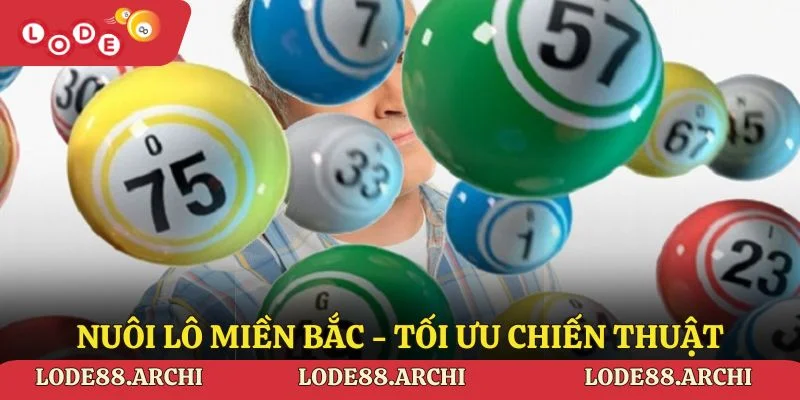 Nuôi lô miền Bắc - Tối ưu chiến thuật