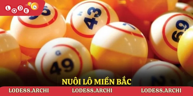 Nuôi Lô Miền Bắc - Cách Chơi Hiệu Quả, Thắng Lớn Tại Lode88