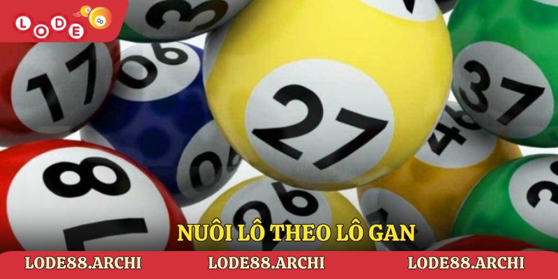 Nuôi lô theo lô gan