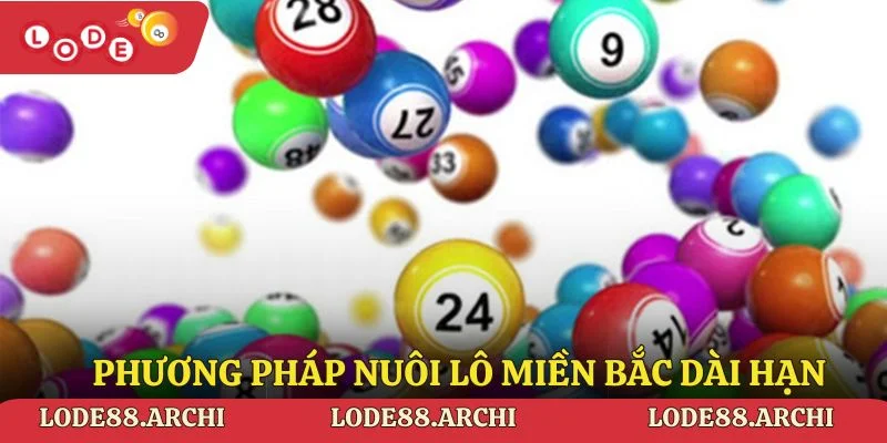 Phương pháp nuôi lô miền Bắc dài hạn