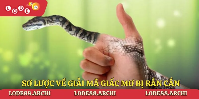 Sơ lược về giải mã giấc mơ bị rắn cắn