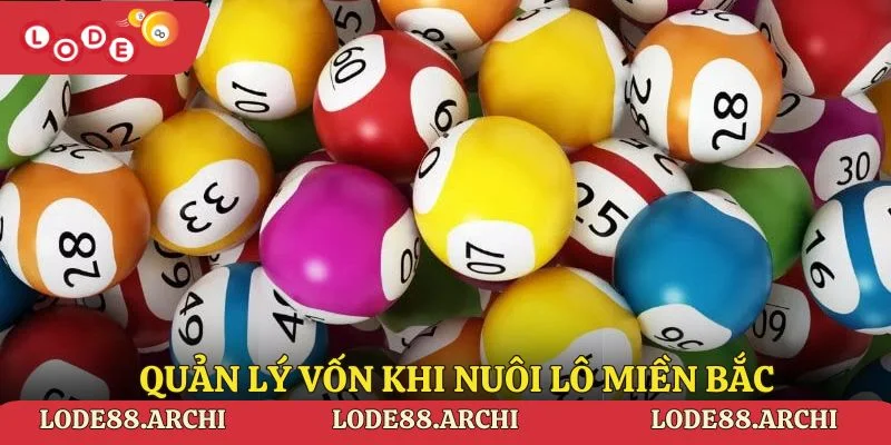 Chiến lược quản lý vốn khi nuôi lô miền Bắc