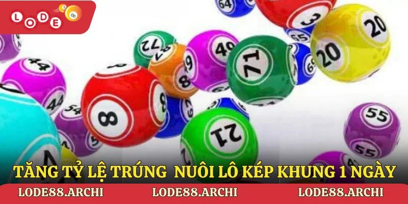 Các cách tăng tỷ lệ trúng khi nuôi lô kép khung 1 ngày